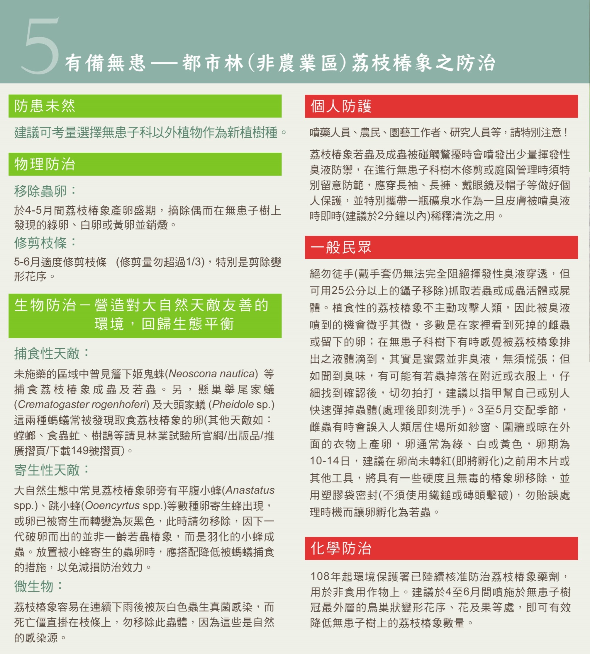 電子摺頁非農業區的荔枝椿象無患子篇-6.jpg